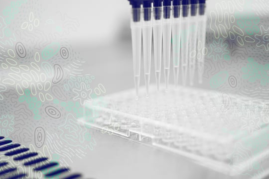 A decade of technological innovation transforming food safety