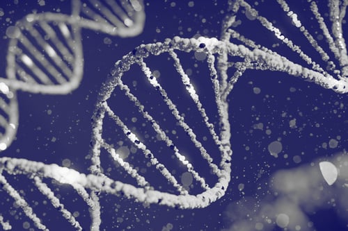 Genes of concern 