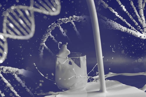 Allergenicity & celiac disease - bioinformatics