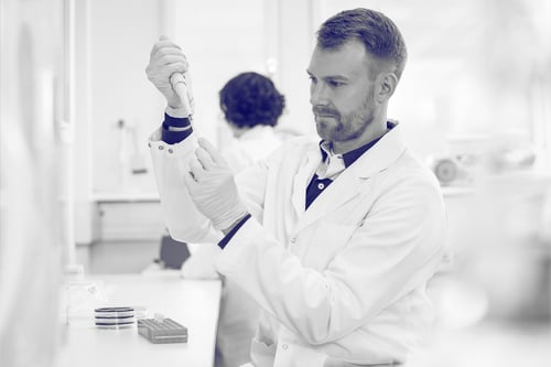 Characterisation of a microorganism 