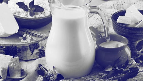Food Enzymes