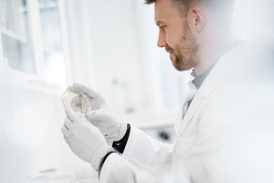 From strain discovery to regulatory success: what really matters