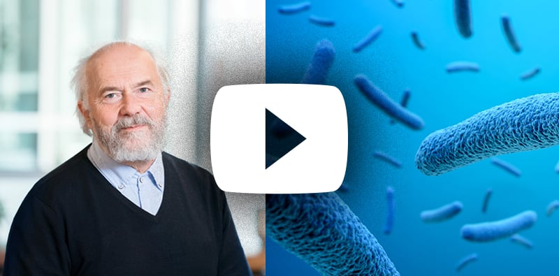 Bacteria on the alert – the genetic induction and its implications for the safety assessment