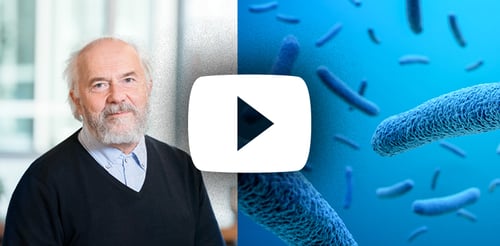 Bacteria on the alert – the genetic induction and its implications for the safety assessment