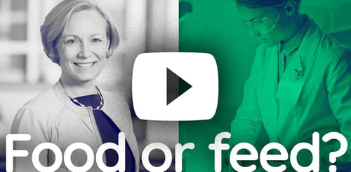 EU go-to-market strategies for fermentation products