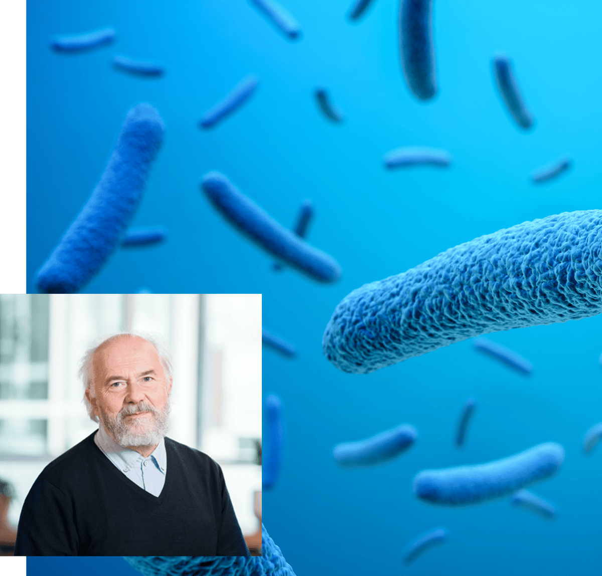 biosafe_webinar_27-11-2025_Bacteria-on-the-alert-the-genetic-induction-and-its-implications-for-the-safety-assessment