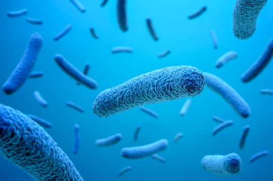 Bacteria on the alert: genetic induction and its implications for safety assessment