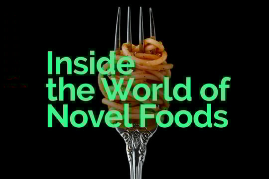EU Novel Food Regulation: expert insights from regulatory practice