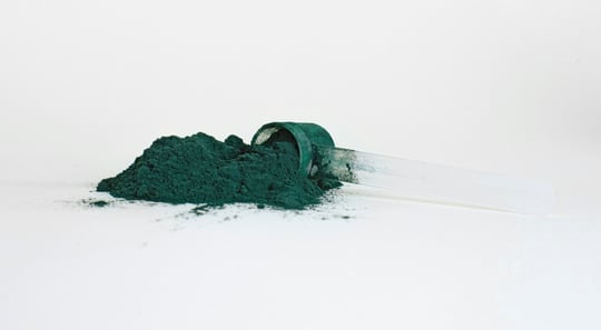 Microalgae to market: Regulatory essentials for food innovators