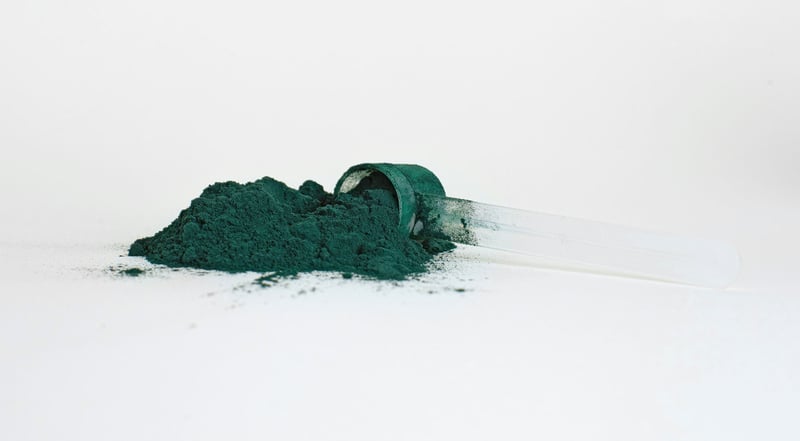 Microalgae to market: Regulatory essentials for food innovators