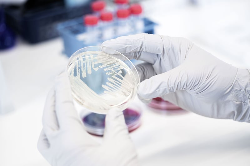 What’s in a name? Navigating the changing world of bacterial taxonomy