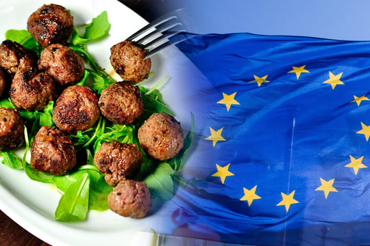 Novel foods demand novel regulations: Case EU Novel Food Regulation