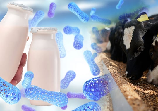 Probiotics and beyond in the EU: A regulatory maze for food and feed