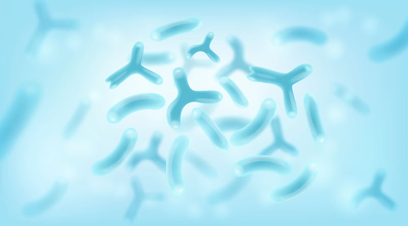 Probiotics, prebiotics and what they actually do