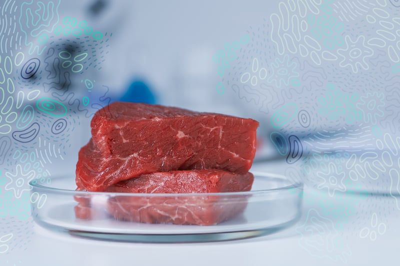 Cell-Cultured Meat Takes Shape