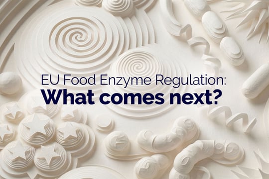 What comes next for food enzymes in the EU?