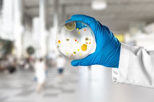 EFSA’s AMR gene criteria: A barrier or catalyst for microbial innovation?