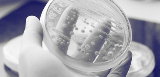 QPS status: the golden standard of microorganism safety evaluation