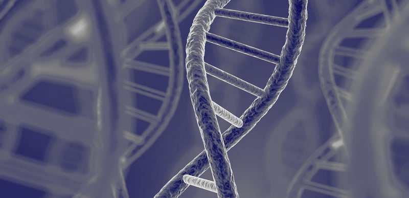 EFSA’s Requirements for Whole Genome Sequencing of Microorganisms
