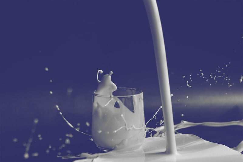 Milking microorganisms for the next novel dairy foods