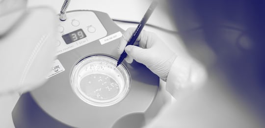 Microbial novel foods: Registering a new microorganism in the EU