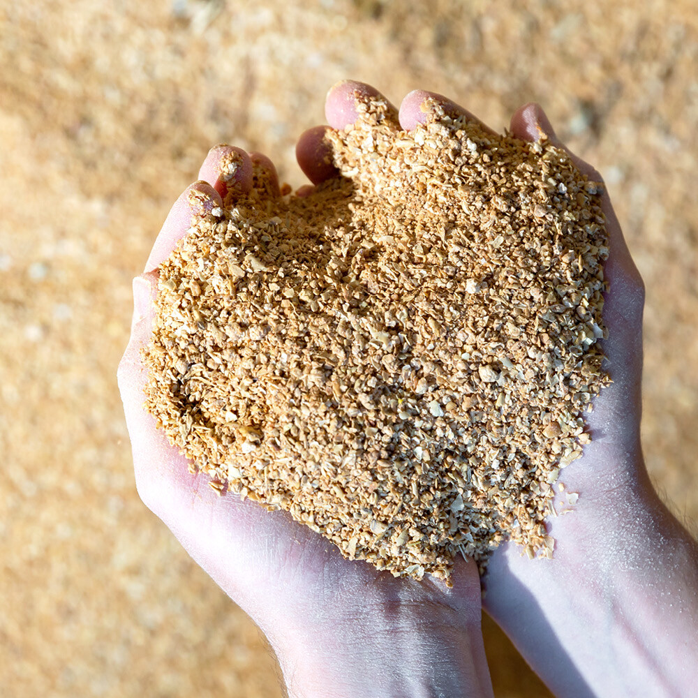 Feed additives-biosafe