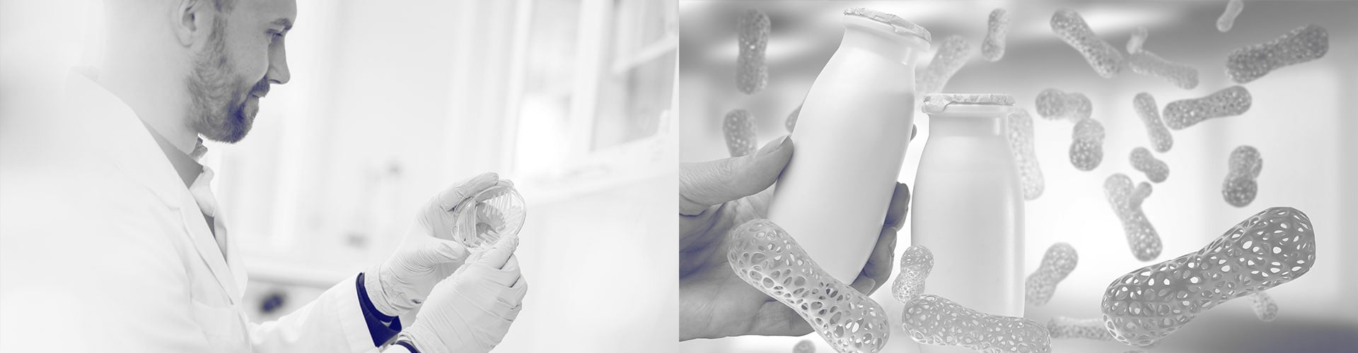 Probiotics-and-Starter-Cultures