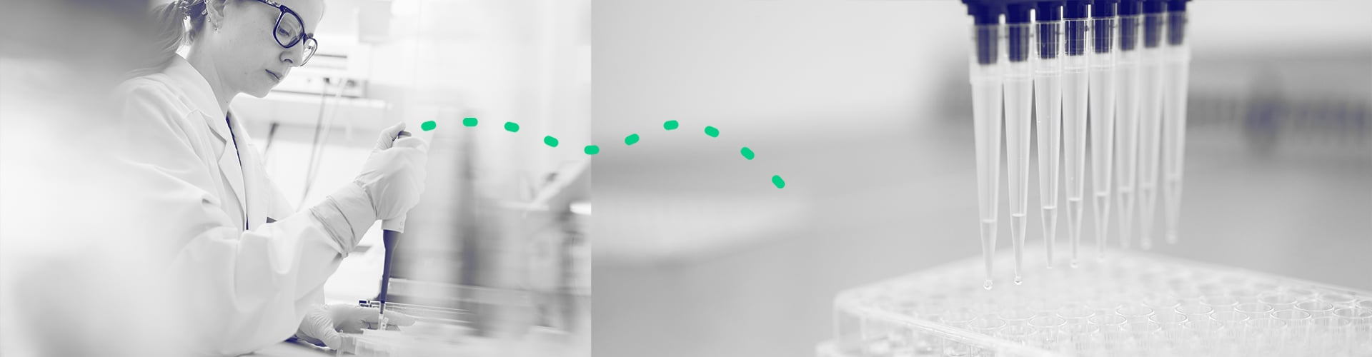 Quantitative-PCR