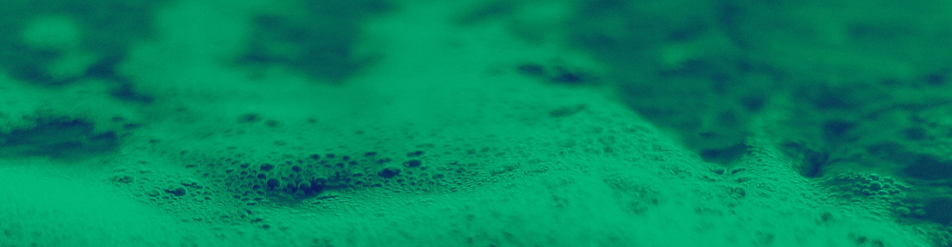 Absence of cells in fermentation products
