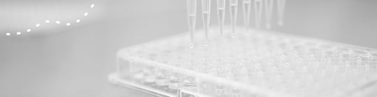 Antimicrobial susceptibility testing of food and feed bacteria