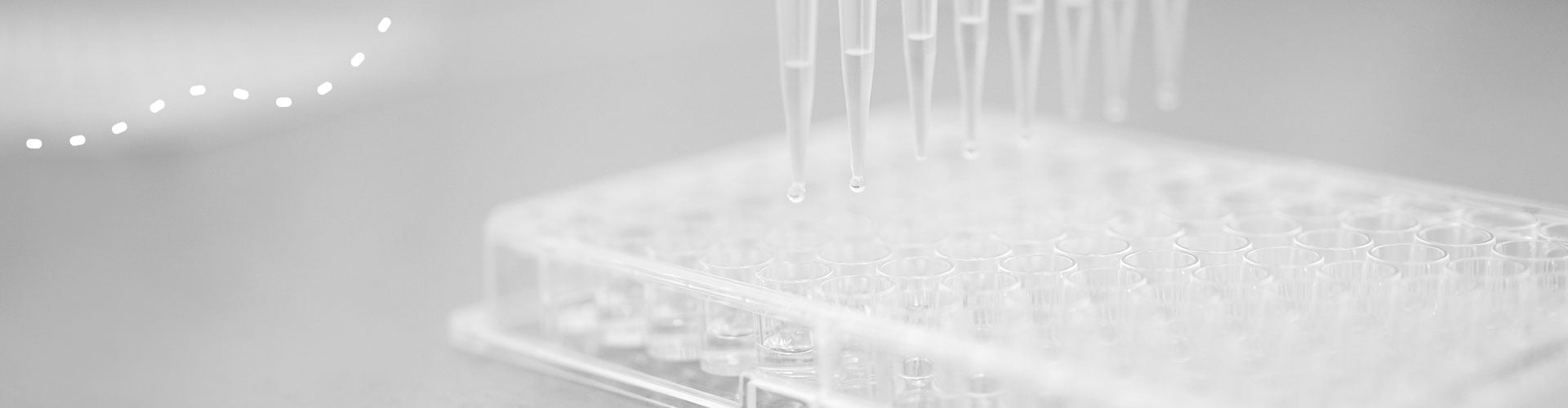 Antimicrobial susceptibility test (MIC)