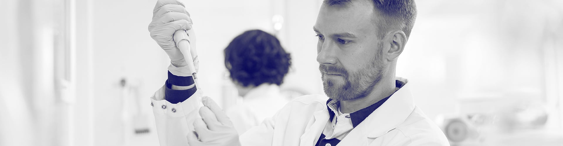 Characterisation of a microorganism