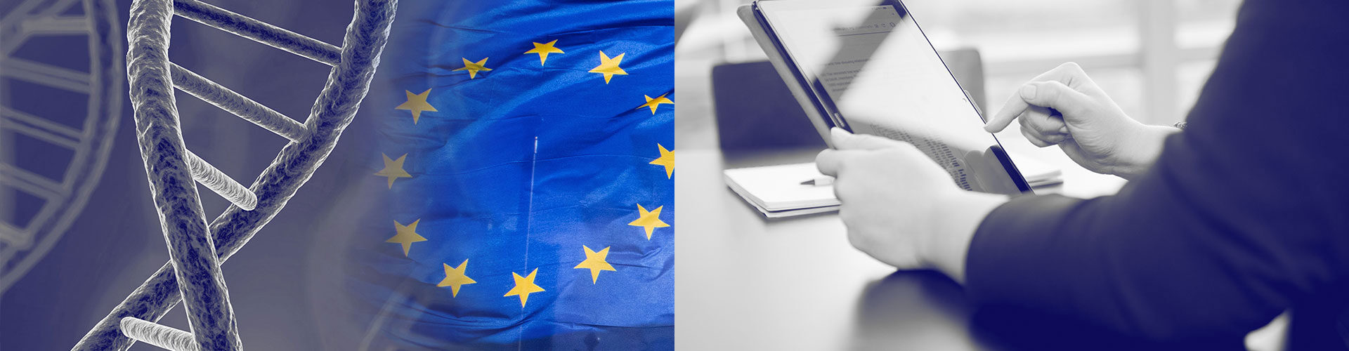 Dossier preparation in the EU