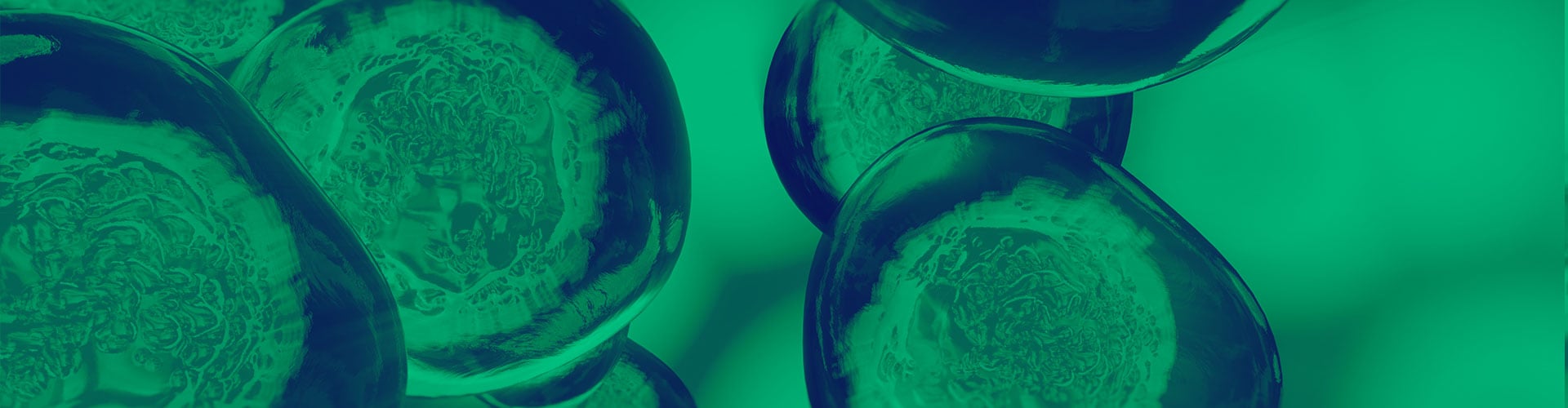 In vitro efficacy