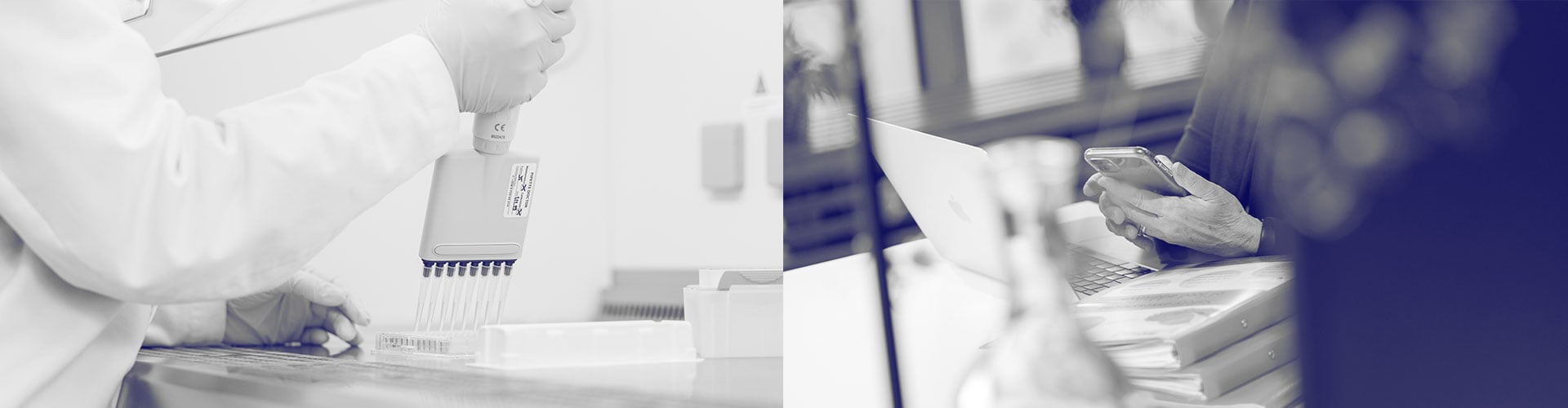 How to get marketing authorization for your customer’s products (EFSA)?