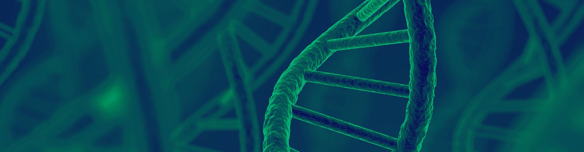 Pulsed Field Gel Electrophoresis (PFGE)