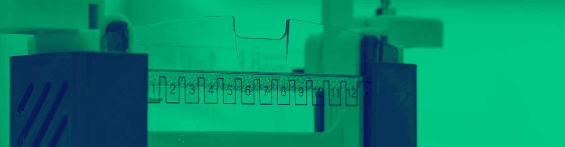 SDS-polyacrylamide gel electrophoresis