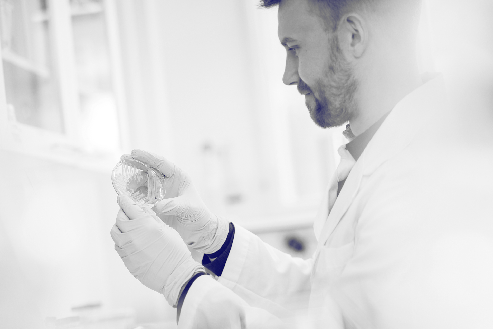 microbial-testing-an-overview-of-what-it-is-and-what-it-is-for